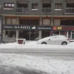 Apartaments Els Avets
